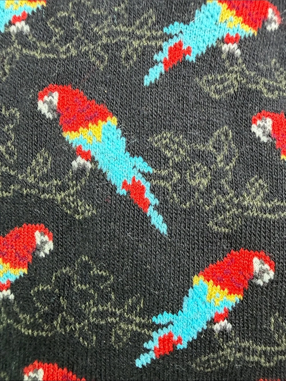 NWT Scarlet Macaw Parrot Women’s 9-11 Crew Socks Bird Lover Psittacine Boho